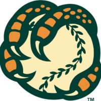 Boise Hawks Logo